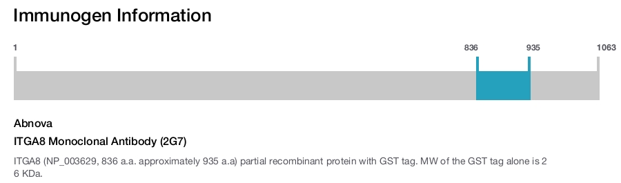 ITGA8 Monoclonal Antibody (2G7)
