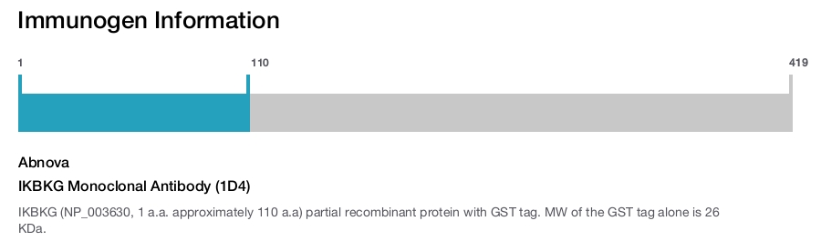 IKBKG Monoclonal Antibody (1D4)