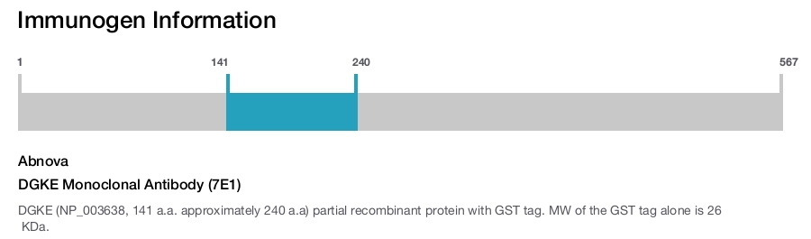 DGKE Monoclonal Antibody (7E1)