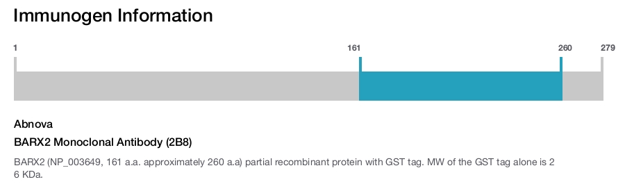 BARX2 Monoclonal Antibody (2B8)