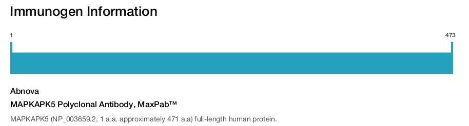 MAPKAPK5 Polyclonal Antibody, MaxPab™