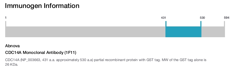 CDC14A Monoclonal Antibody (1F11)