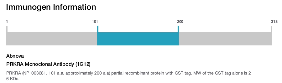 PRKRA Monoclonal Antibody (1G12)