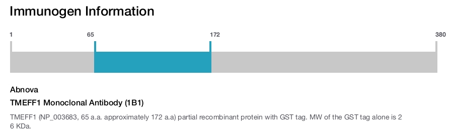 TMEFF1 Monoclonal Antibody (1B1)