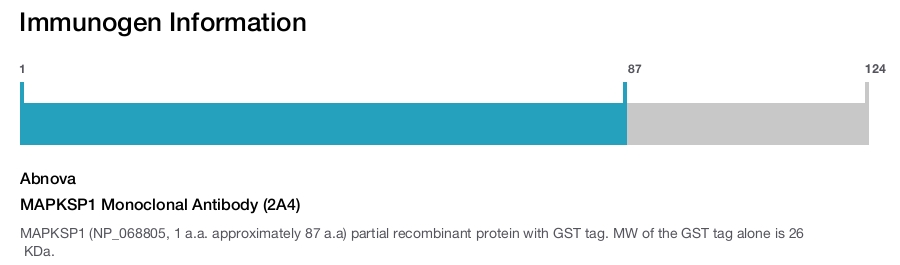 MAPKSP1 Monoclonal Antibody (2A4)