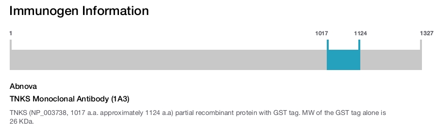 TNKS Monoclonal Antibody (1A3)