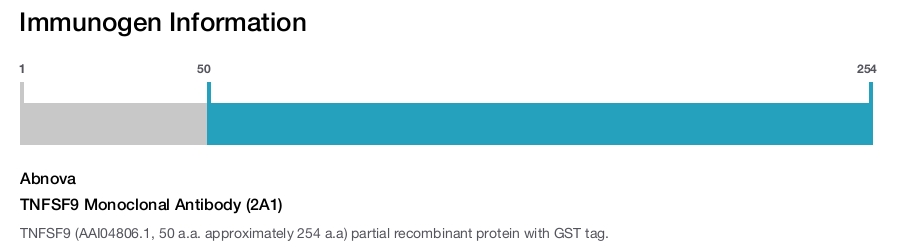TNFSF9 Monoclonal Antibody (2A1)