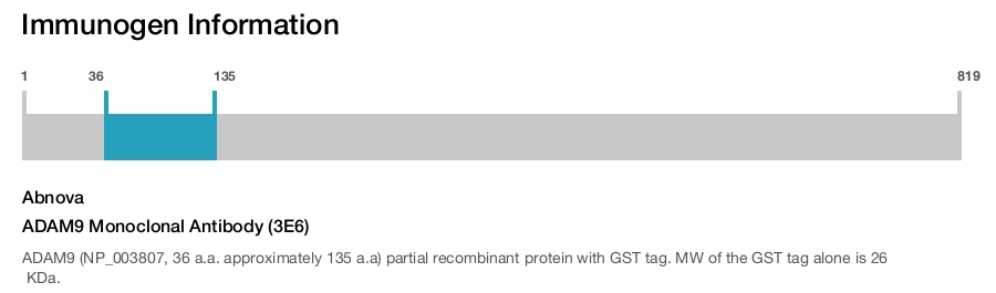 ADAM9 Monoclonal Antibody (3E6)