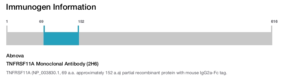 TNFRSF11A Monoclonal Antibody (2H6)