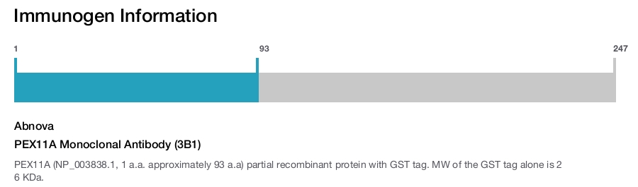PEX11A Monoclonal Antibody (3B1)