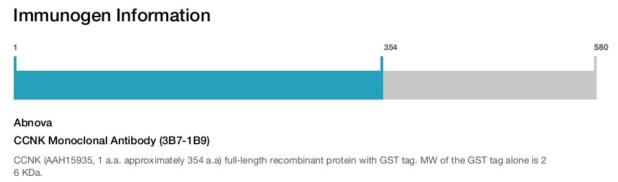 CCNK Monoclonal Antibody (3B7-1B9)