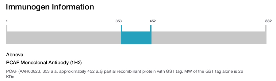 PCAF Monoclonal Antibody (1H2)