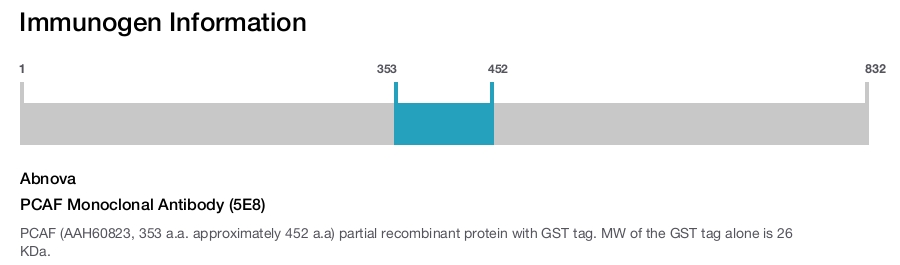 PCAF Monoclonal Antibody (5E8)