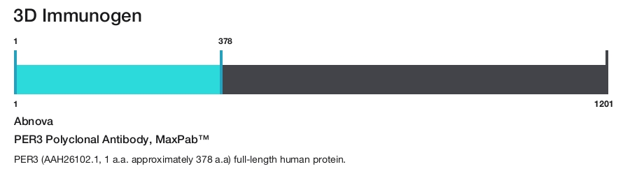 PER3 Polyclonal Antibody, MaxPab&trade;