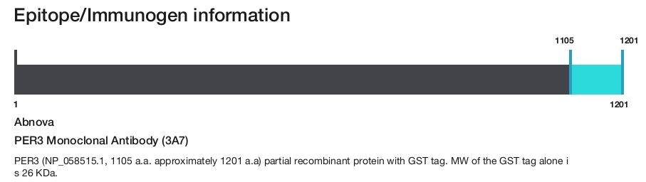 PER3 Monoclonal Antibody (3A7)