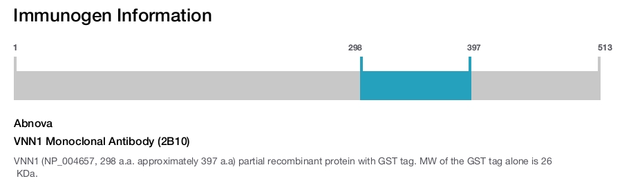 VNN1 Monoclonal Antibody (2B10)