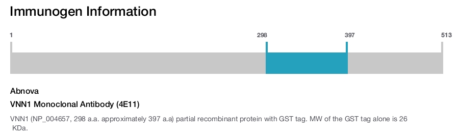 VNN1 Monoclonal Antibody (4E11)