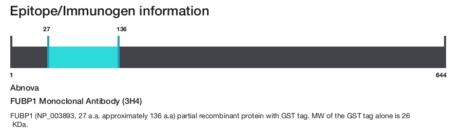 FUBP1 Monoclonal Antibody (3H4)