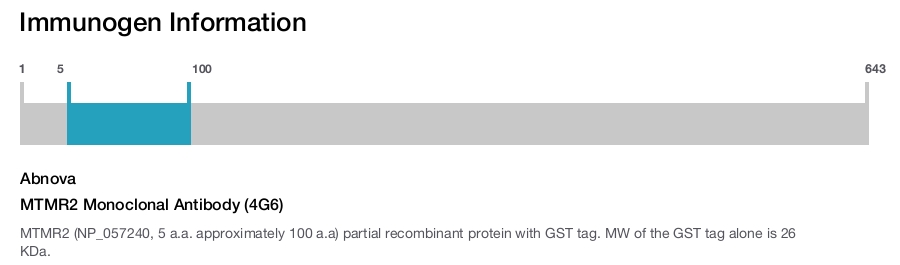 MTMR2 Monoclonal Antibody (4G6)