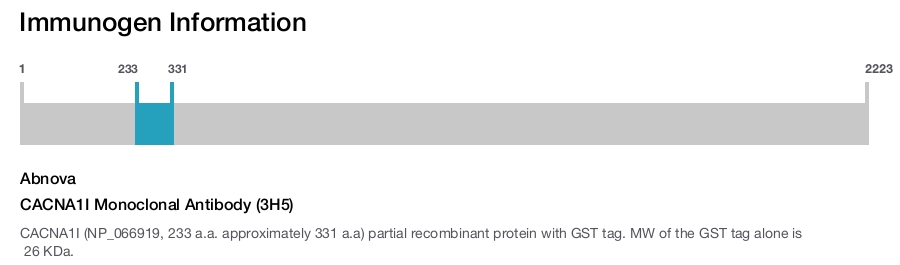 CACNA1I Monoclonal Antibody (3H5)