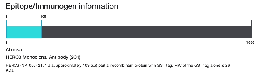 HERC3 Monoclonal Antibody (2C1)