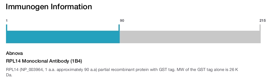 RPL14 Monoclonal Antibody (1B4)