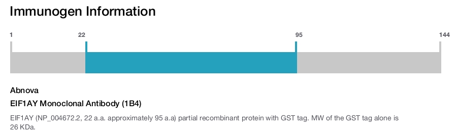 EIF1AY Monoclonal Antibody (1B4)