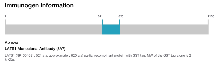 LATS1 Monoclonal Antibody (3A7)