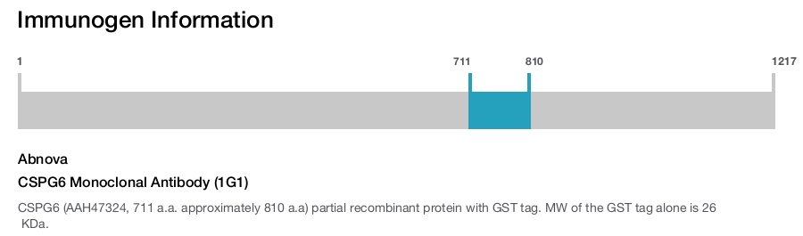 CSPG6 Monoclonal Antibody (1G1)