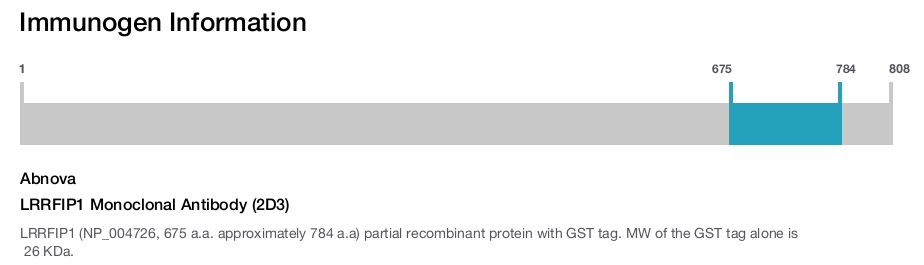 LRRFIP1 Monoclonal Antibody (2D3)