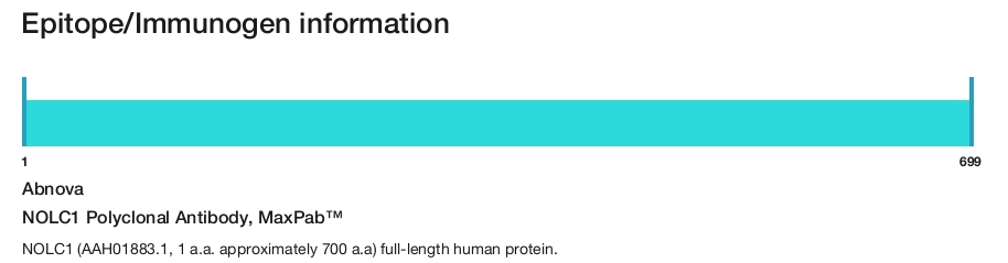 NOLC1 Polyclonal Antibody, MaxPab&trade;