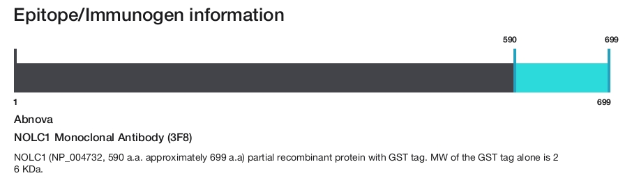 NOLC1 Monoclonal Antibody (3F8)