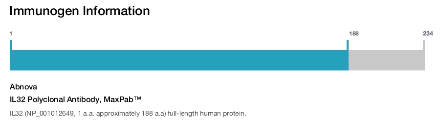 IL32 Polyclonal Antibody, MaxPab™