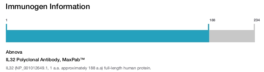 IL32 Polyclonal Antibody, MaxPab™