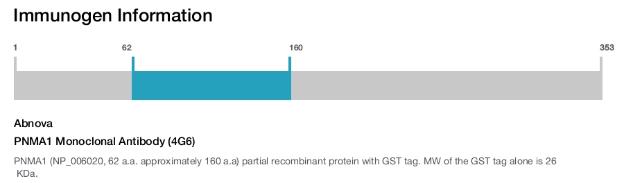 PNMA1 Monoclonal Antibody (4G6)