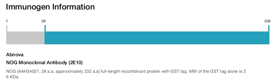 NOG Monoclonal Antibody (2E10)