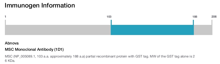 MSC Monoclonal Antibody (1D1)