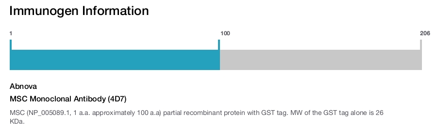 MSC Monoclonal Antibody (4D7)