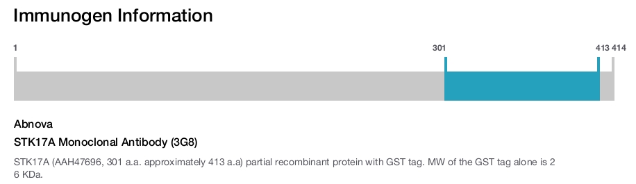 STK17A Monoclonal Antibody (3G8)