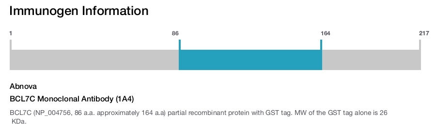 BCL7C Monoclonal Antibody (1A4)