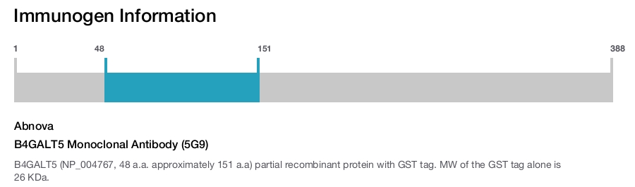 B4GALT5 Monoclonal Antibody (5G9)