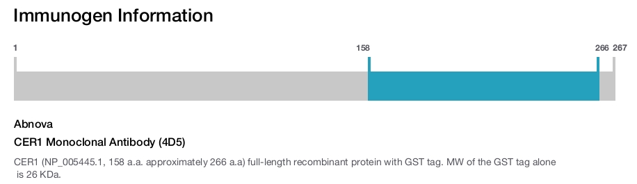 CER1 Monoclonal Antibody (4D5)