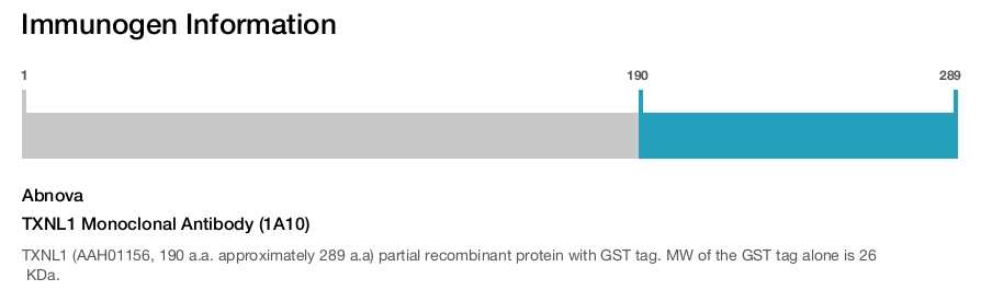 TXNL1 Monoclonal Antibody (1A10)