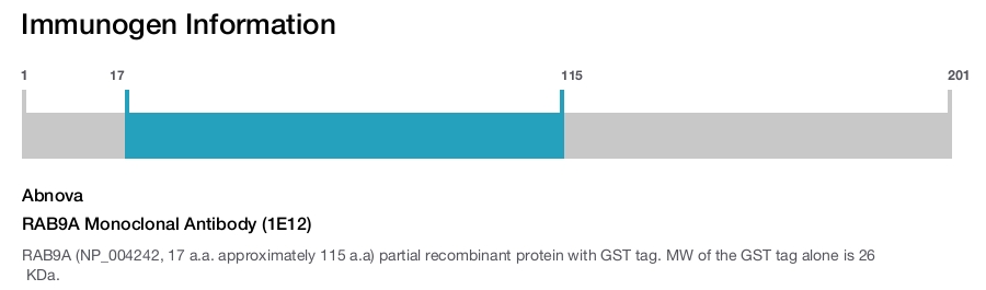 RAB9A Monoclonal Antibody (1E12)