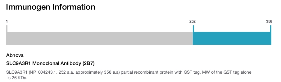 SLC9A3R1 Monoclonal Antibody (2B7)