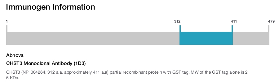CHST3 Monoclonal Antibody (1D3)