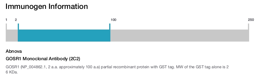 GOSR1 Monoclonal Antibody (2C2)