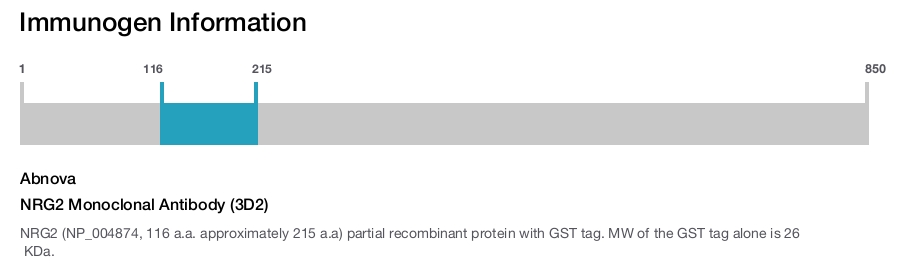 NRG2 Monoclonal Antibody (3D2)