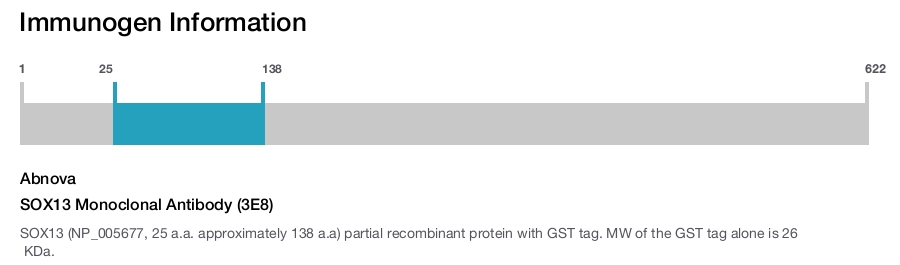 SOX13 Monoclonal Antibody (3E8)