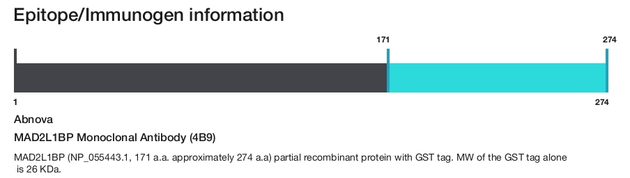 MAD2L1BP Monoclonal Antibody (4B9)
